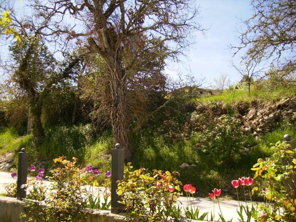 Casa Rural Fuentetrigo Brizuela Exterior photo